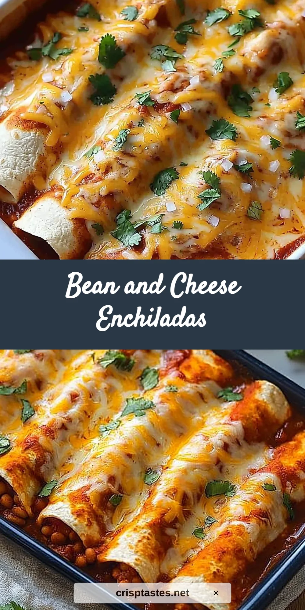 Bean and Cheese Enchiladas