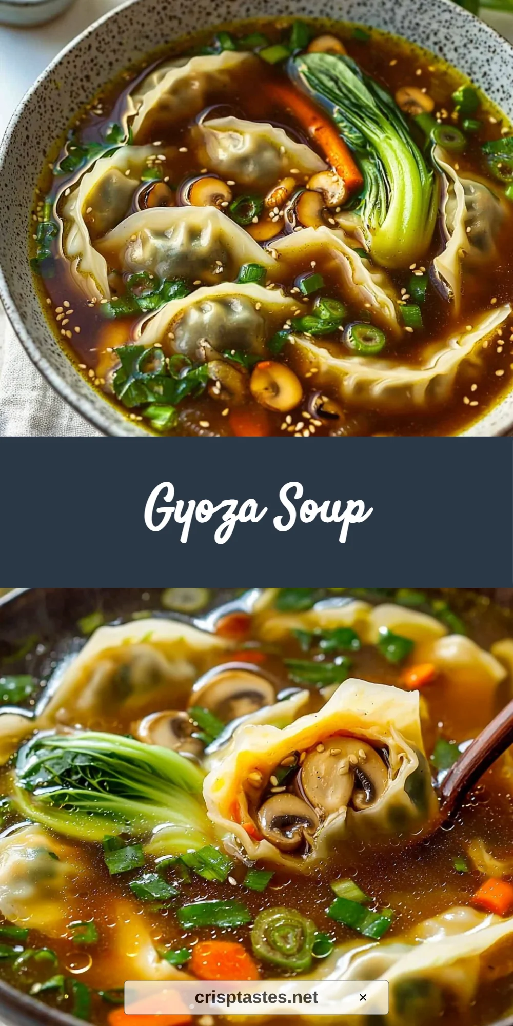 Gyoza Soup