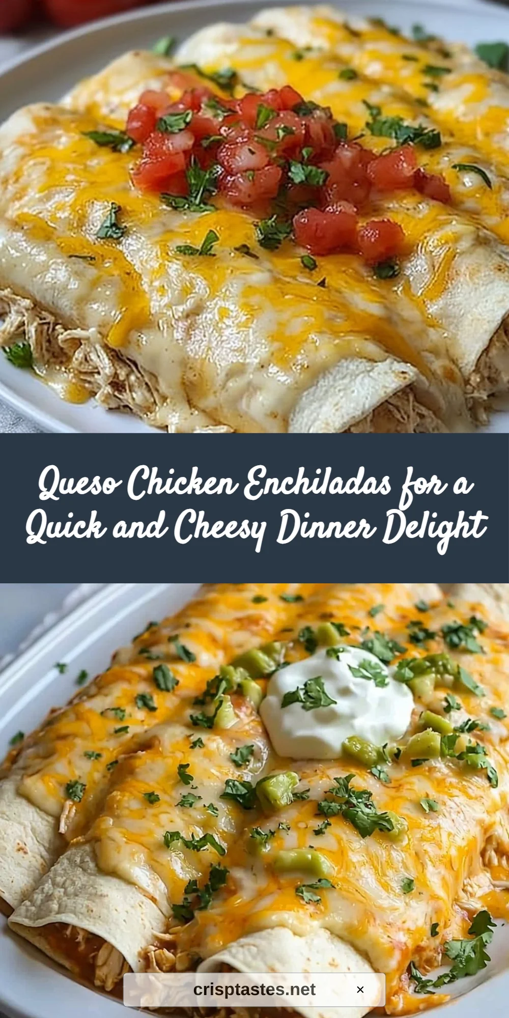 Queso Chicken Enchiladas for a Quick and Cheesy Dinner Delight