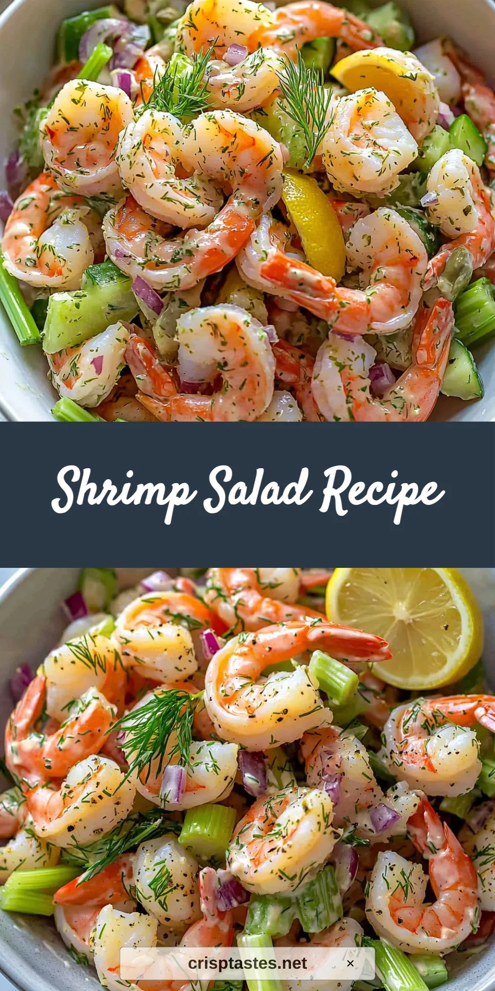 Shrimp Salad Recipe