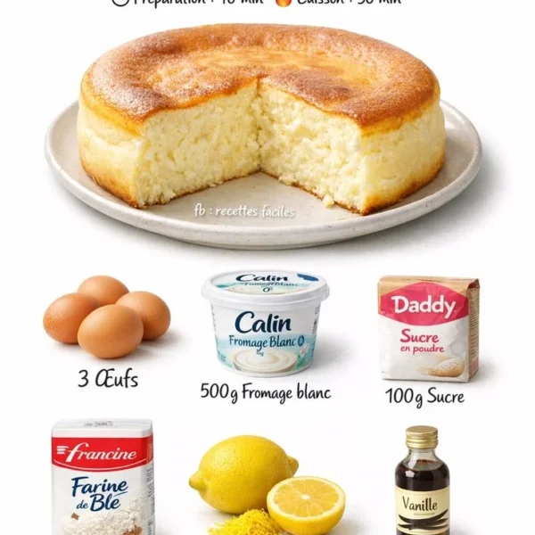 Gâteau au fromage blanc crémeux et léger sur une assiette.