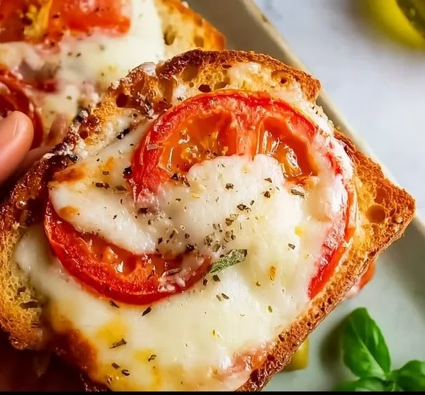 Open faced tomato mozzarella sandwich with fresh ingredients and herbs