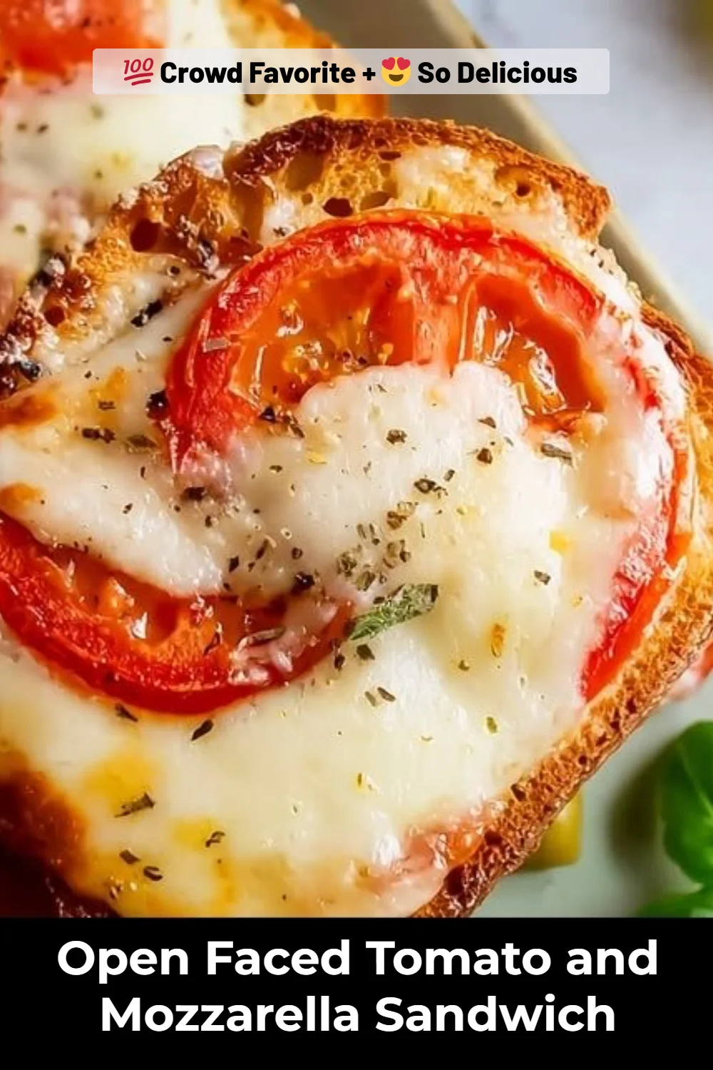 Open Faced Tomato and Mozzarella Sandwich