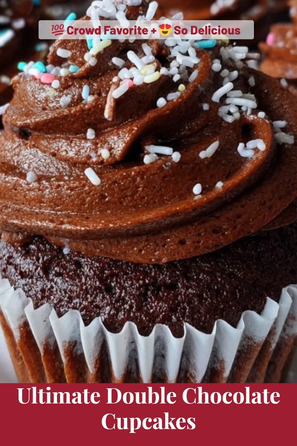 Ultimate Double Chocolate Cupcakes
